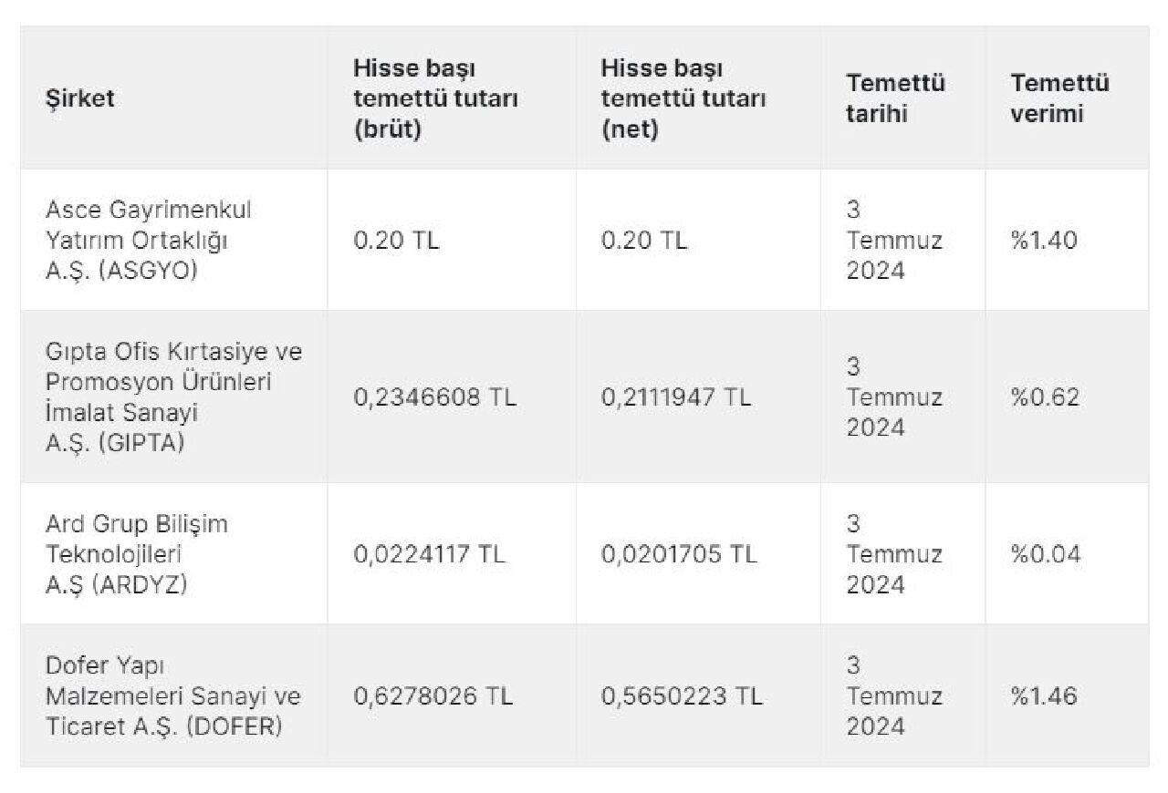 Ard Grup Bilişim Teknolojileri, net 0,0201705 TL temettü dağıtımını 3 Temmuz'da yapacak - 1. Resim