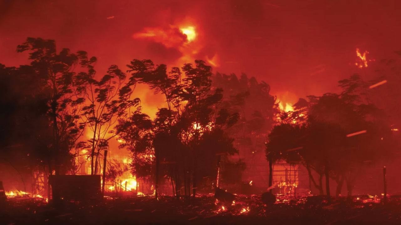 Yunanistan eski başbakanı Yorgo Papandreu'dan orman yangınlarına karşı ortak  mücadele çağrısı - 5. Resim