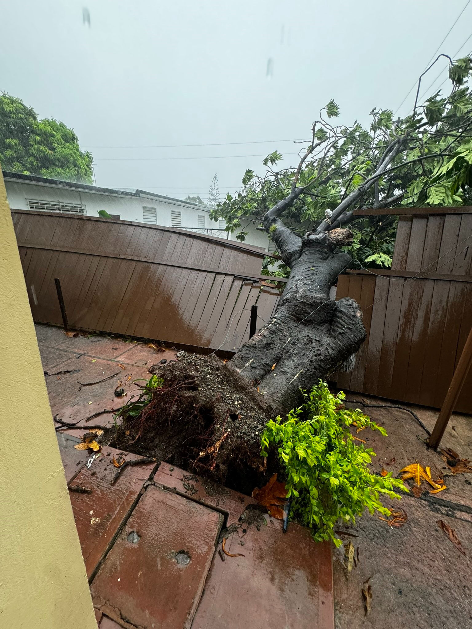 Beryl Kasırgası'nda ölenlerin sayısı yükseldi! 'Felaketin ikinci aşamasına girdik' diyerek açıkladı... - 1. Resim