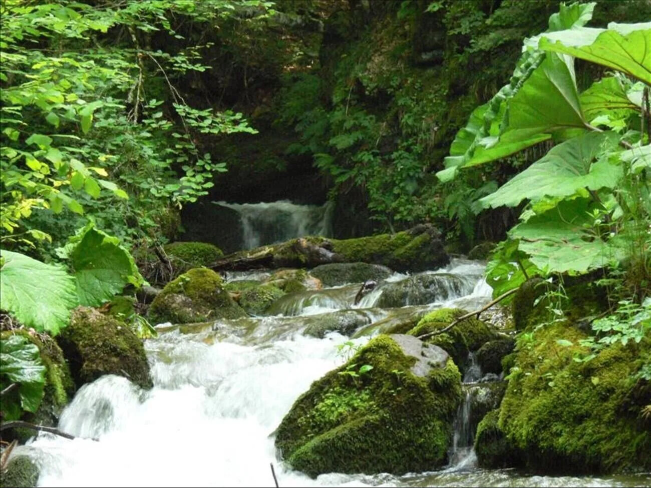 Bursa İnegöl, İznik ve Gürsu'da doğayla iç içe olabileceğiniz kamp yerleri yazın gözdesi - 3. Resim