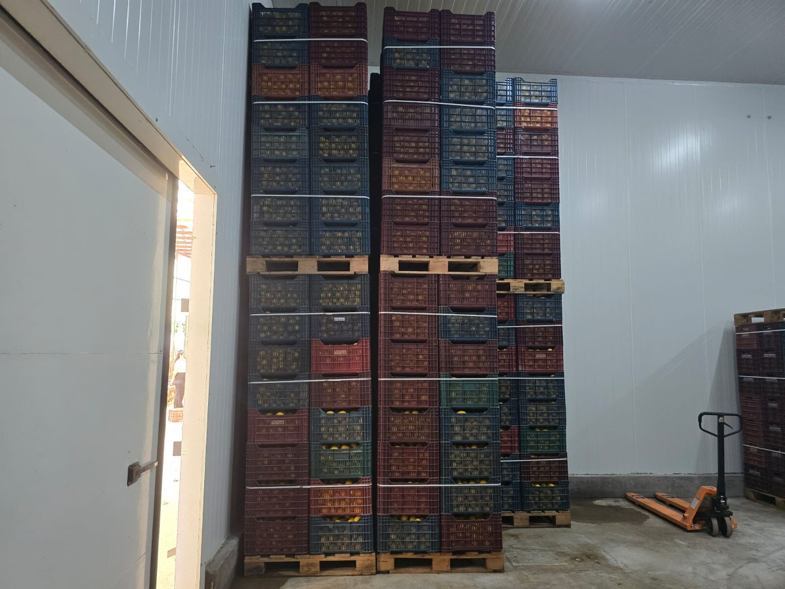 Depoda bekletip fiyatı uçuruyorlardı! Limon stokçuları yakayı ele verdi - 2. Resim