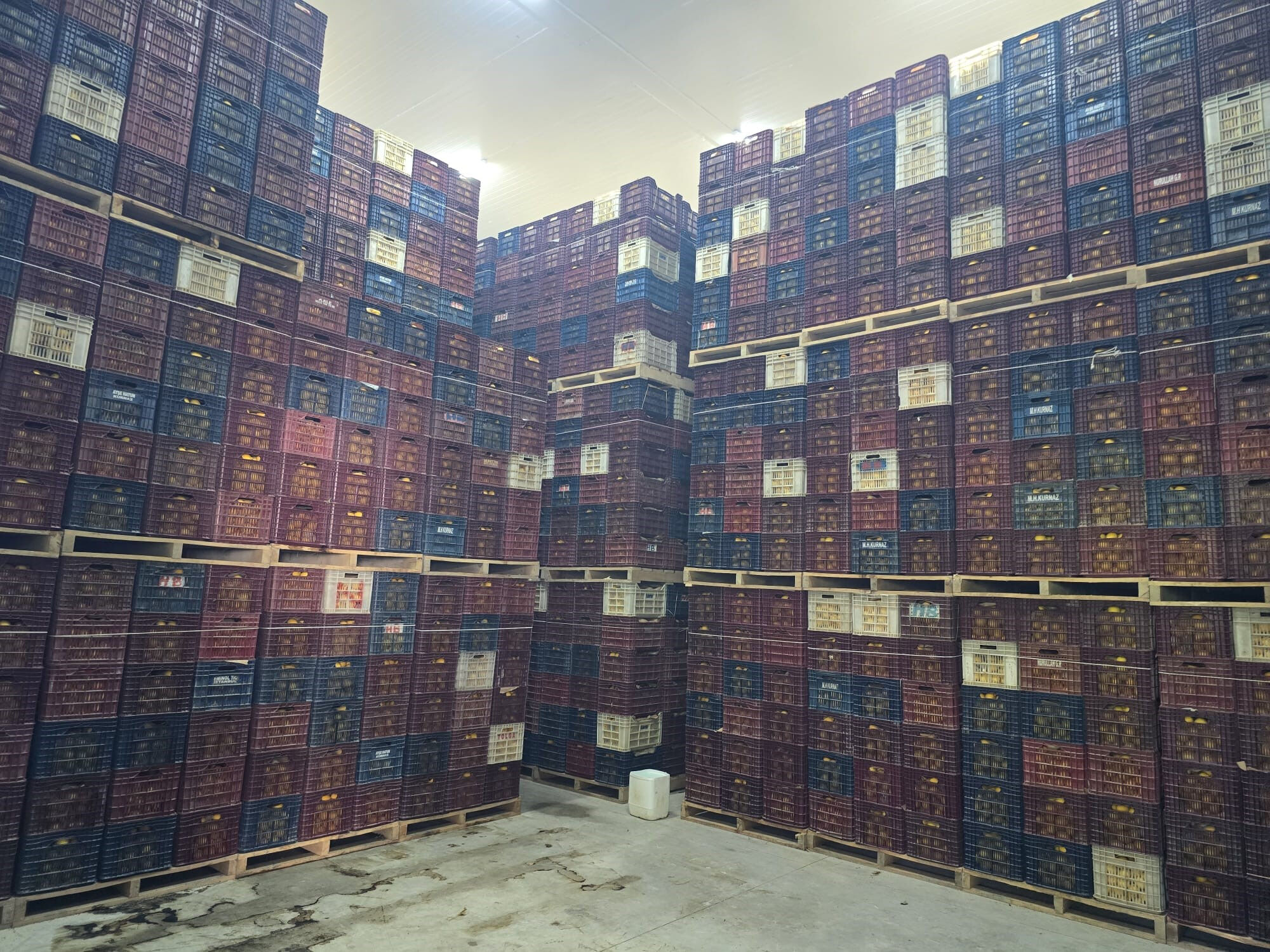 Depoda bekletip fiyatı uçuruyorlardı! Limon stokçuları yakayı ele verdi - 1. Resim