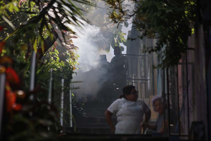 El Salvador'da dang hummasına karşı ordu sahaya çıktı! El Salvador'da dang hummasına karşı ordu sahaya çıktı! - 5. Resim