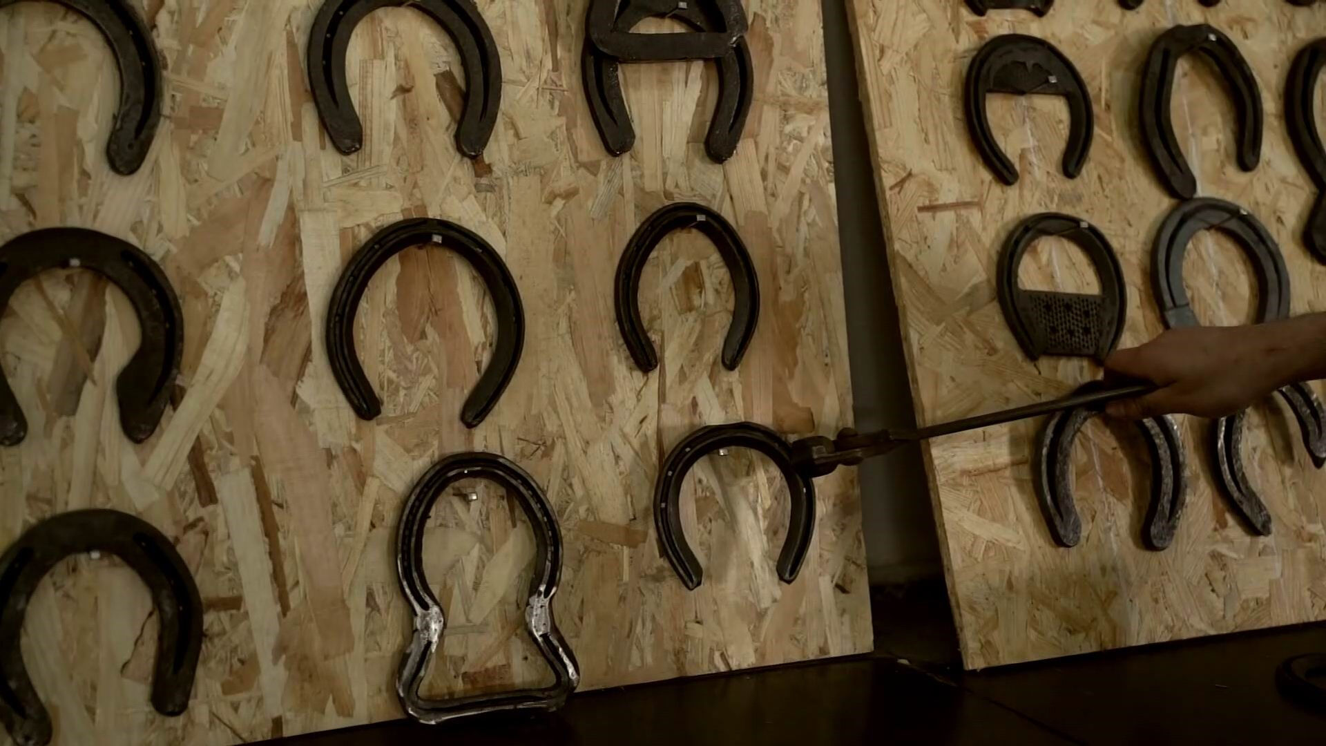 Karacabey Atçılık Merkezinde nalbantlık kursunu tamamlayanlar Elazığ Hipodromunda çalışabilecek - 2. Resim