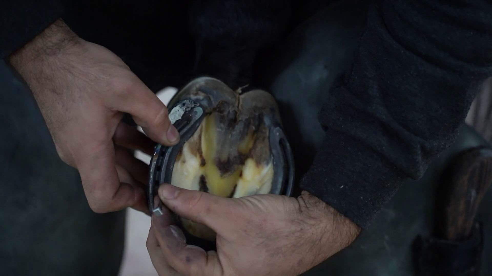 Karacabey Atçılık Merkezinde nalbantlık kursunu tamamlayanlar Elazığ Hipodromunda çalışabilecek - 1. Resim