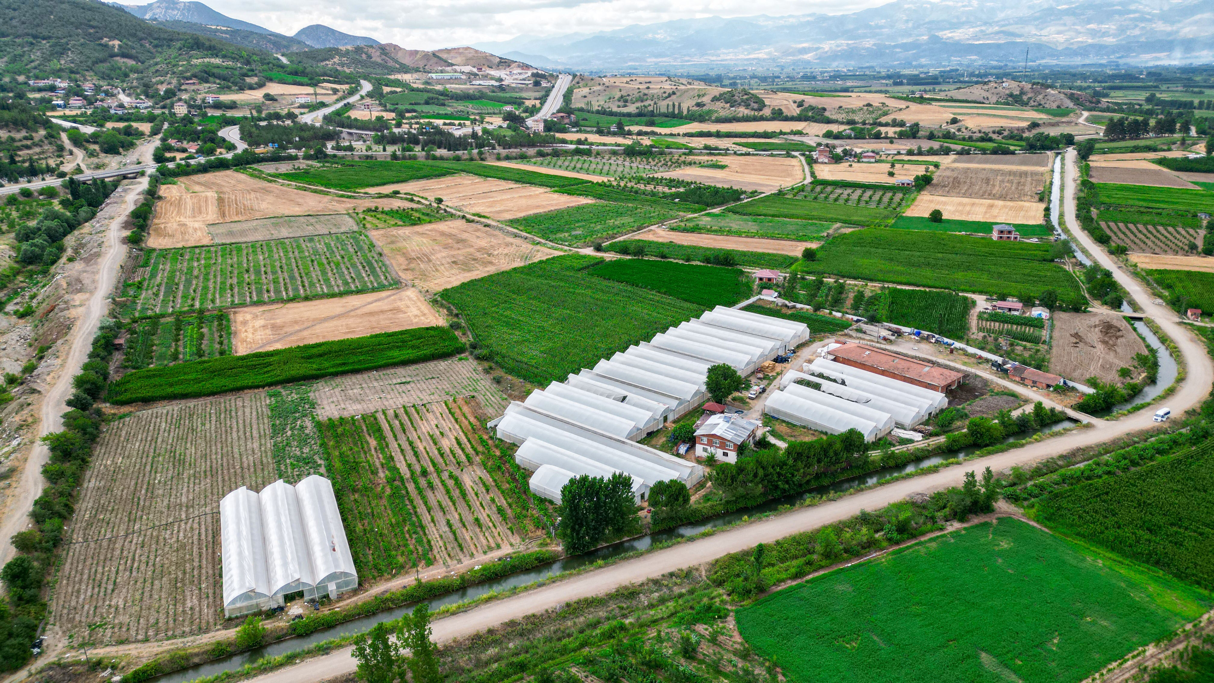 Öğretmenliği bırakıp bu işe girdi! Çalışanlarına öğretmen maaşı veriyor - 1. Resim