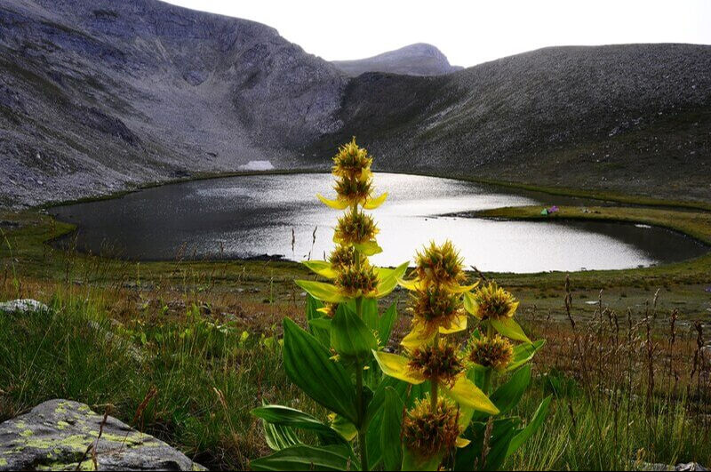 Osmangazi Köprüsü'nden çok yakın! Bursa Gemlik ve Osmangazi'de kamp yapabileceğiniz ücretsiz aile yerleri Osmangazi Köprüsü'nden çok yakın! Bursa Gemlik ve Osmangazi'de kamp yapabileceğiniz ücretsiz aile yerleri - 2. Resim