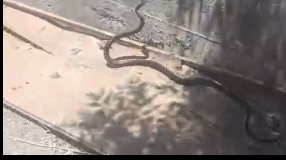 Şehir merkezinde bir anda g&ouml;r&uuml;ld&uuml;! Vatandaş neye uğradığını şaşırdı - 1. Resim