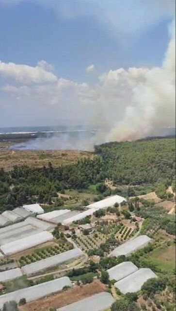Antalya'nın Aksu ilçesinde orman yangınında çalışmalar devam ediyor - 1. Resim