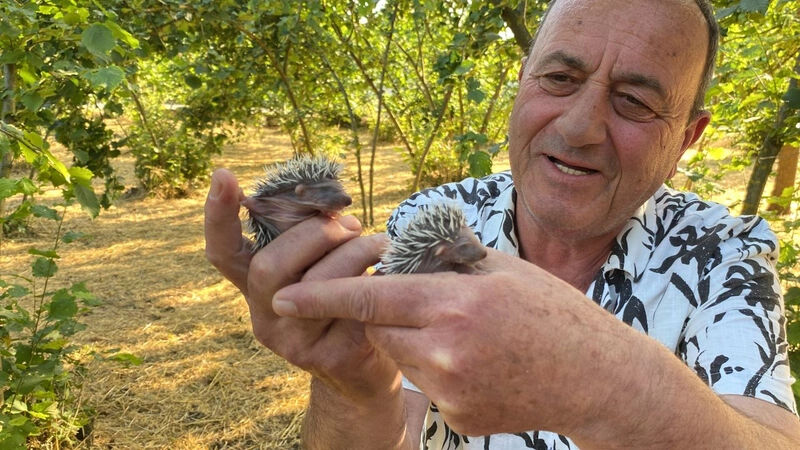 D&uuml;zce'de bah&ccedil;esinde işlem yapıyordu! G&ouml;rd&uuml;ğ&uuml; manzara karşısında şoke oldu - 1. Resim