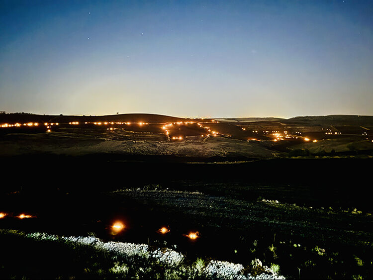 Diyarbakır ve Mardin, yangınlar nedeniyle Genel Hayata Etkili Afet Bölgesi ilan edildi - 1. Resim