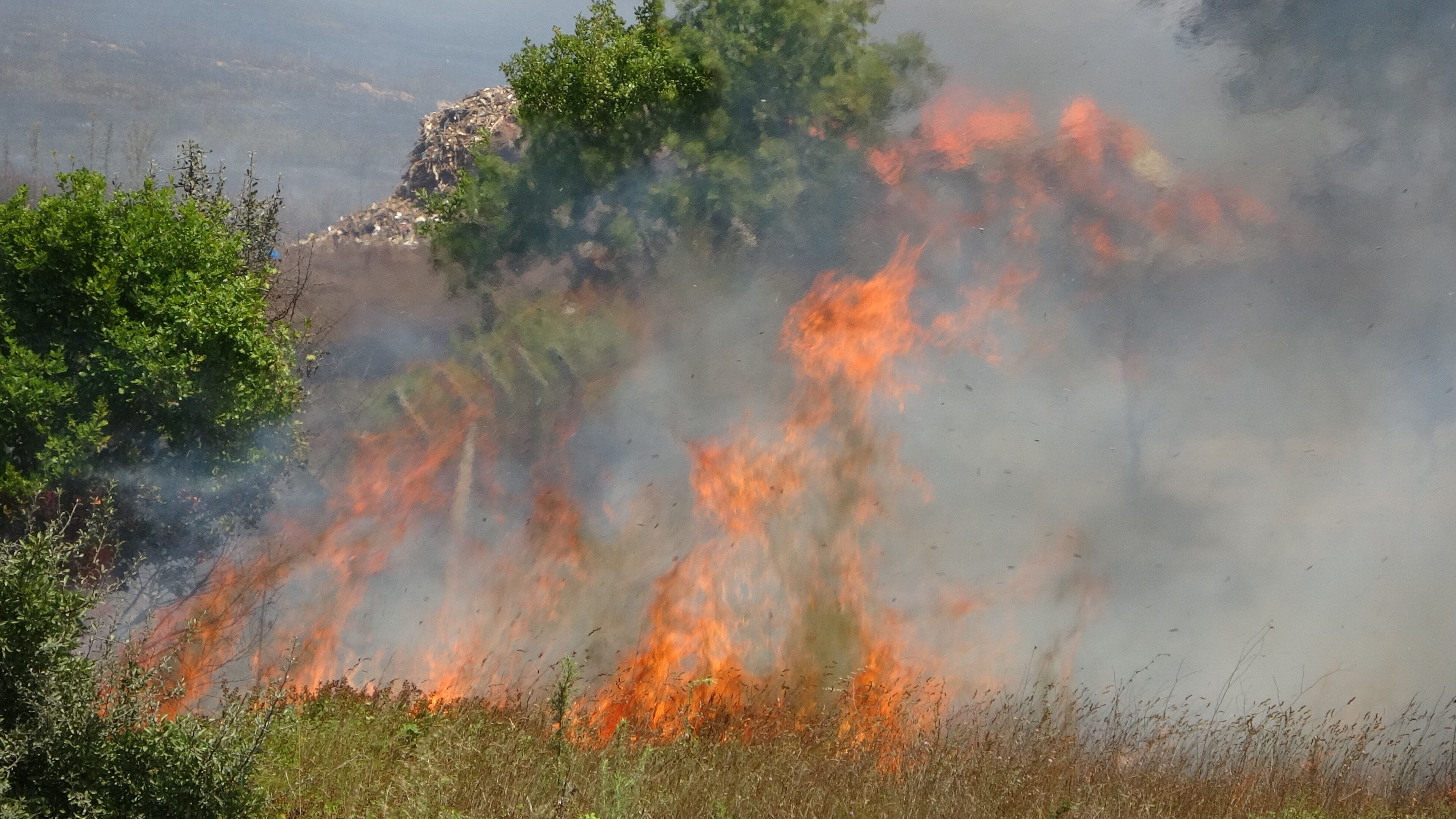 İstanbul Tuzla Tepeören mevkiinde çıkan orman yangınına müdahale devam ediyor - 2. Resim