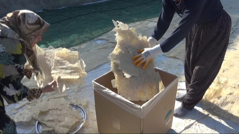 Kahramanmaraş'ta &uuml;retiliyor, Avrupalı alıyor! Hem &ccedil;orbalık hem de &ccedil;erezlik... - 3. Resim