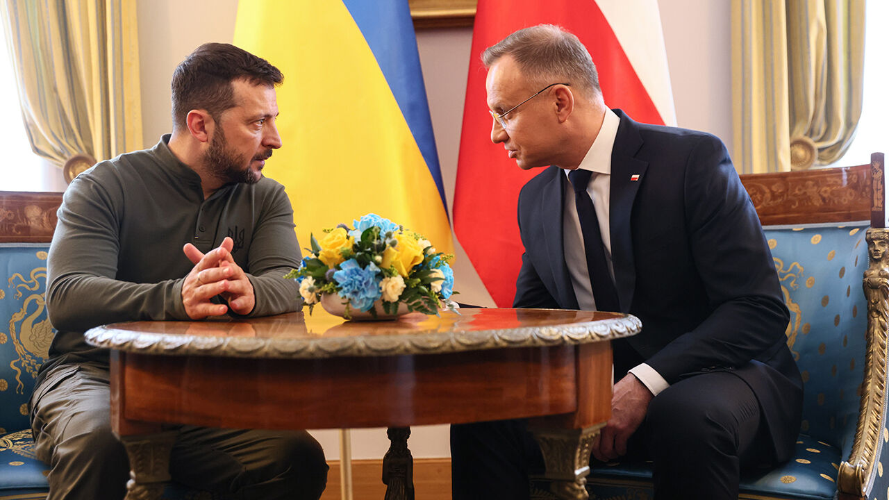 Polonya, Ukrayna'ya silah desteği için NATO'ya şart koştu - 2. Resim