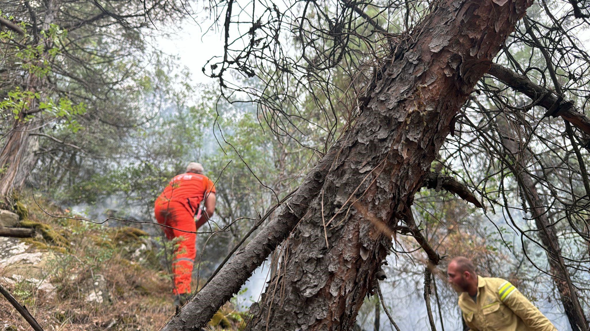 Karabük'te yıldırım düşmesi sonucu çıkan orman yangını henüz kontrol altına alınamadı - 2. Resim