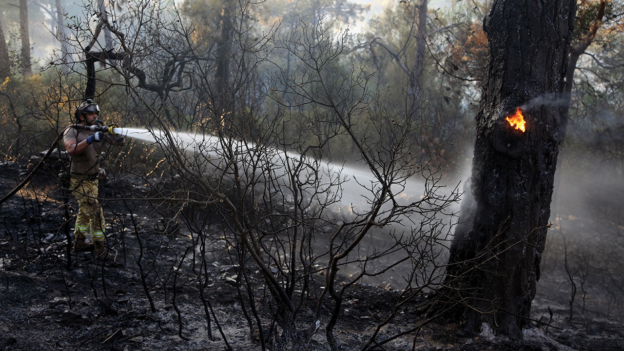 Muğla Bodrum'daki orman yangını 18. saatinde kontrol altına alındı! İşte Bodrum'da yanan alan Muğla Bodrum'daki orman yangını 18. saatinde kontrol altına alındı! İşte Bodrum'da yanan alan - 5. Resim