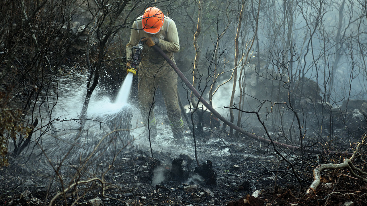 Muğla Bodrum'daki orman yangını 18. saatinde kontrol altına alındı! İşte Bodrum'da yanan alan Muğla Bodrum'daki orman yangını 18. saatinde kontrol altına alındı! İşte Bodrum'da yanan alan - 3. Resim