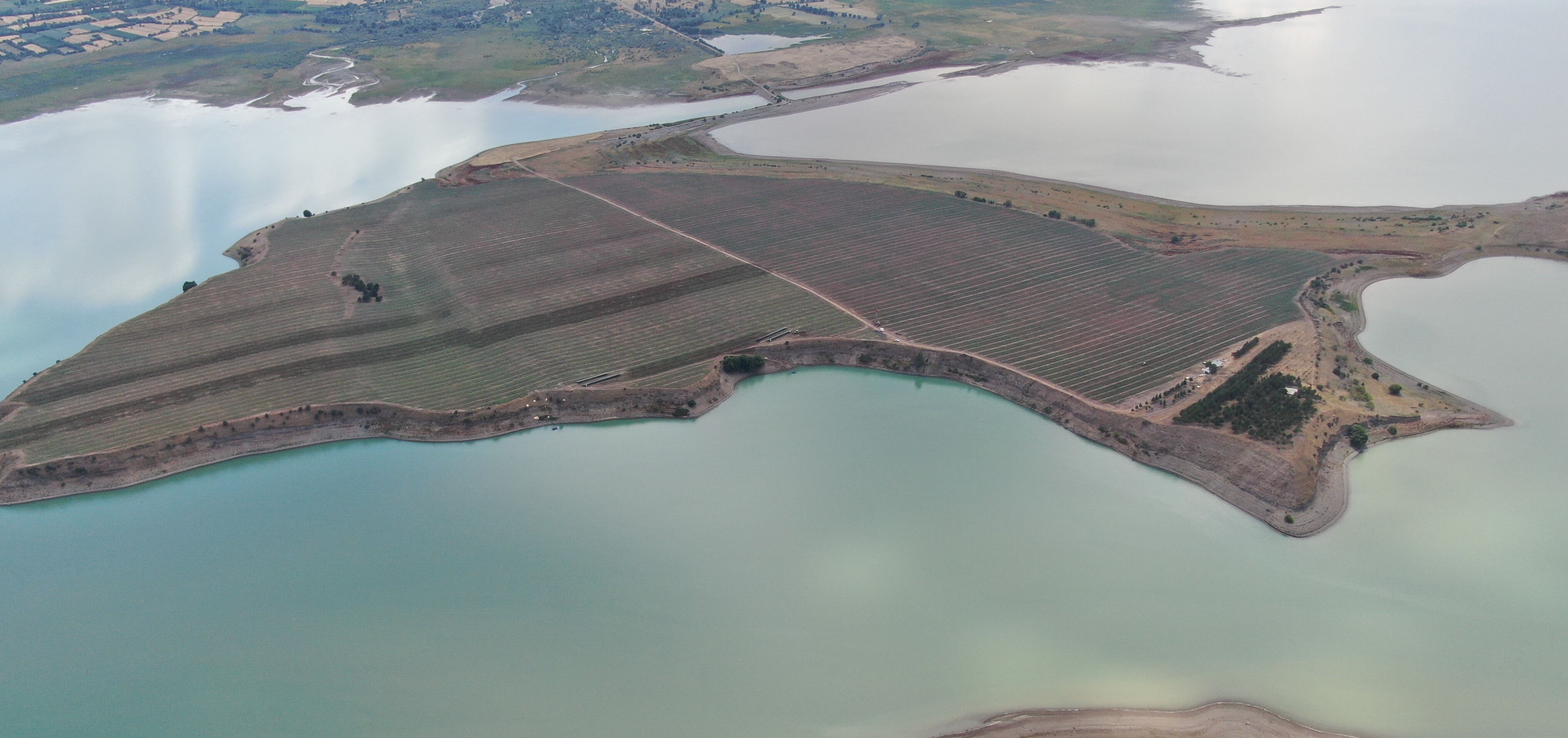 Anadolu'nun en büyük adası satıldı! Genç üretici yaptığıyla takdir topladı Anadolu'nun en büyük adası satıldı! Genç üretici yaptığıyla takdir topladı - 1. Resim