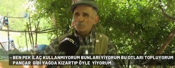 Dünyanın ‘en uzun ömürlü köyü!’ Hastalık hiç uğramıyor: 80’inde vefat edene ‘erken ölüm’ diyorlar Dünyanın ‘en uzun ömürlü köyü!’ Hastalık hiç uğramıyor: var 80’inde vefat edene ‘erken ölüm’ diyorlar - 2. Resim