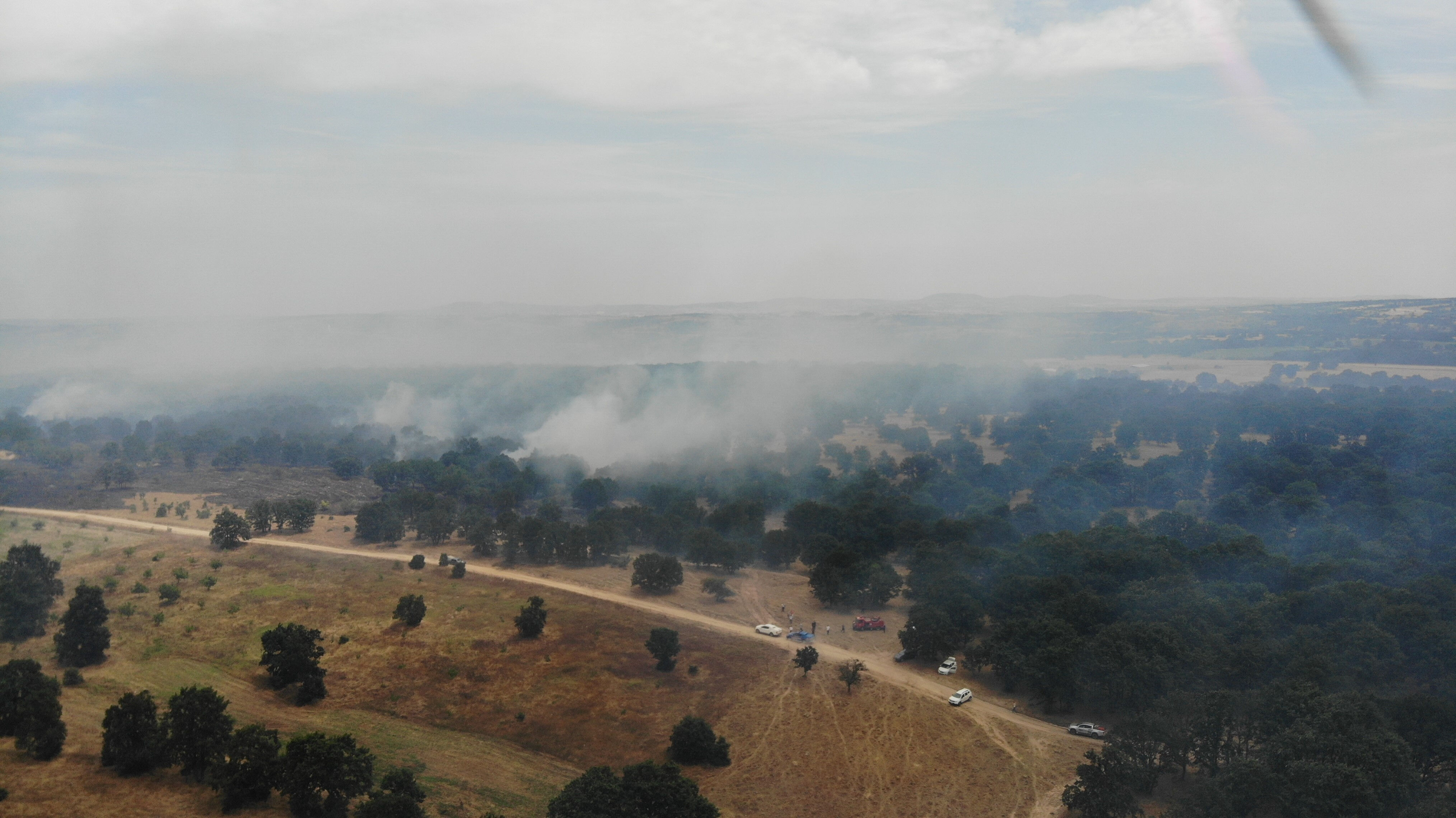 Edirne'de orman yangınını söndürme çalışmaları devam ediyor - 3. Resim
