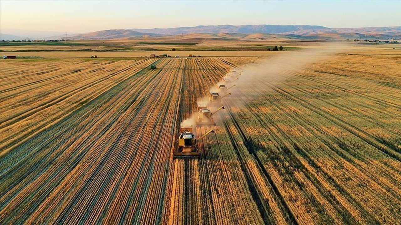 Çiftçilere 87,5 milyon liralık tarımsal destekleme ödemesi