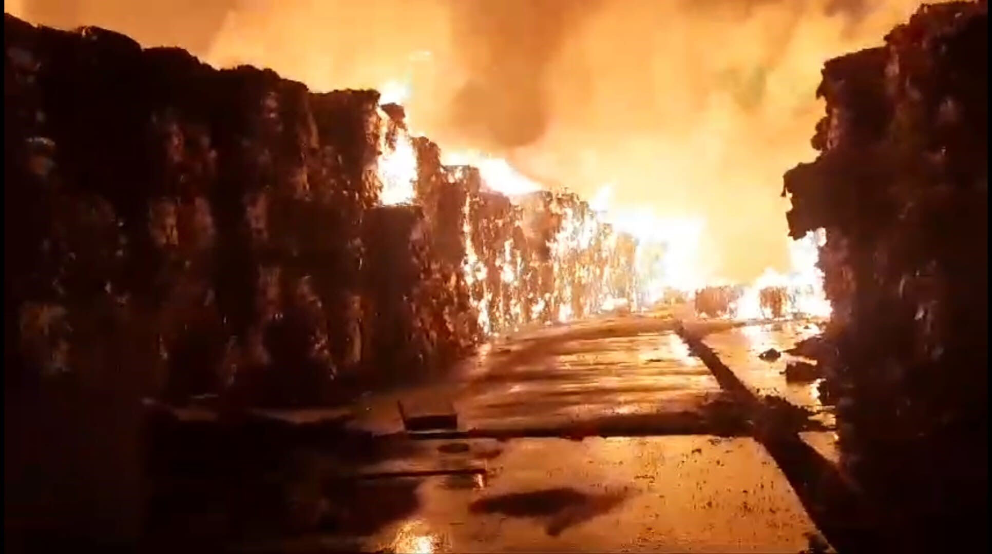 Aydın'da kağıt fabrikası alev alev! Dün başlayan yangına müdahale sürüyor Aydın Kipaş Kağıt Fabrikası yeniden yanıyor! Alevler geceyi aydınlattı - 1. Resim