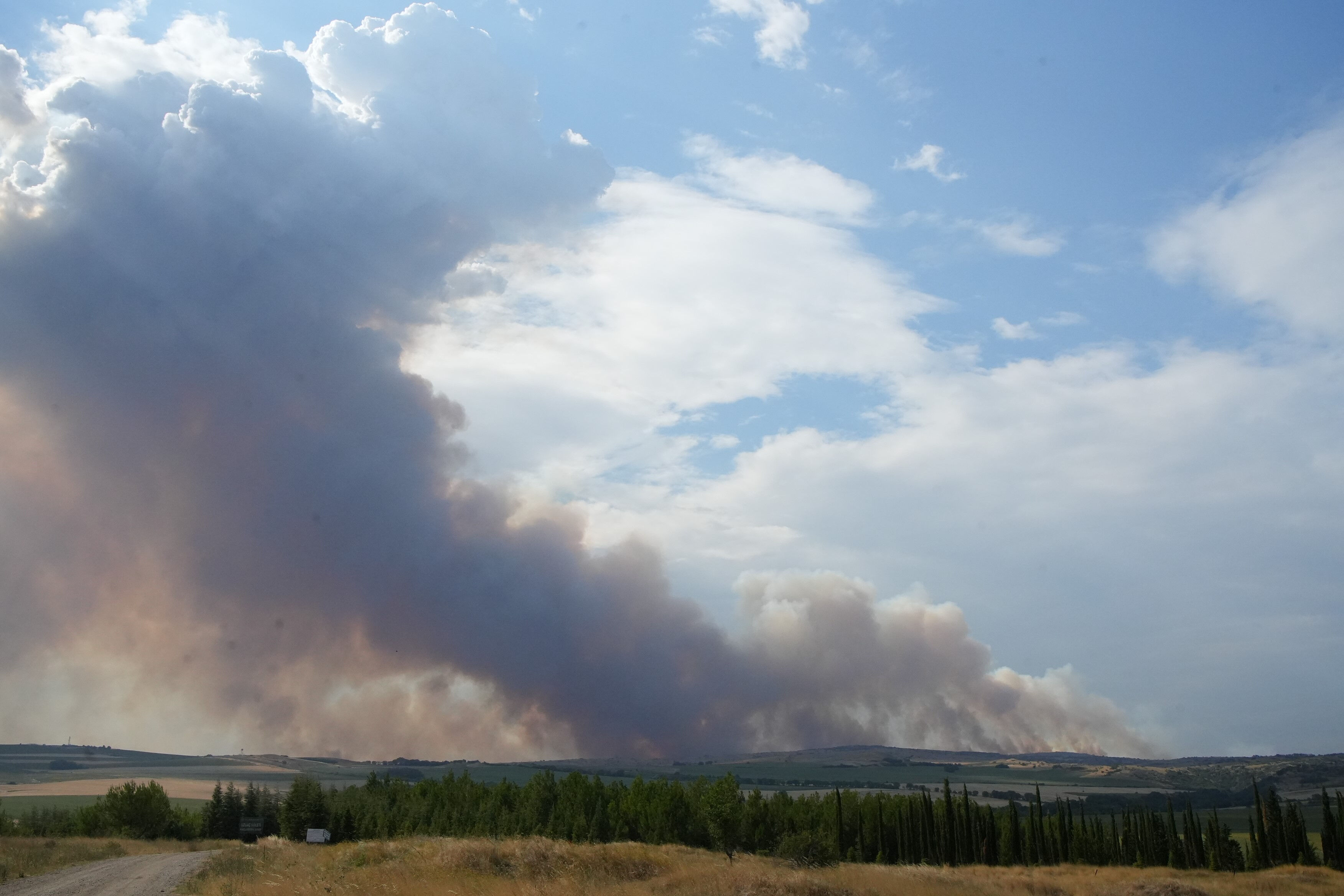 Orman yangını Edirne sınırına dayandı! Vatandaşlar panik içinde Orman yangını Edirne sınırına dayandı! Vatandaşlar panik içinde - 1. Resim