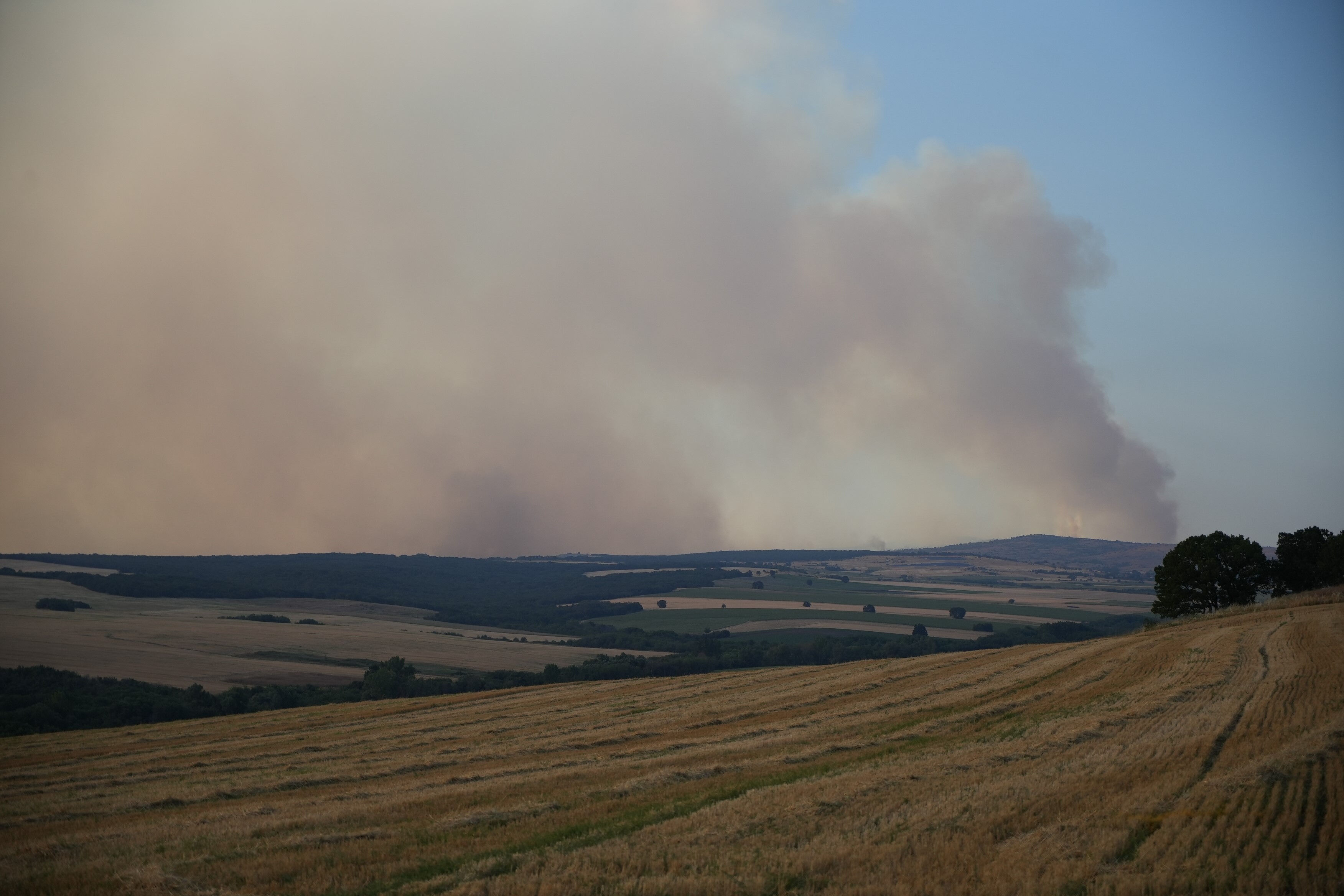 Orman yangını Edirne sınırına dayandı! Vatandaşlar panik içinde Orman yangını Edirne sınırına dayandı! Vatandaşlar panik içinde - 2. Resim