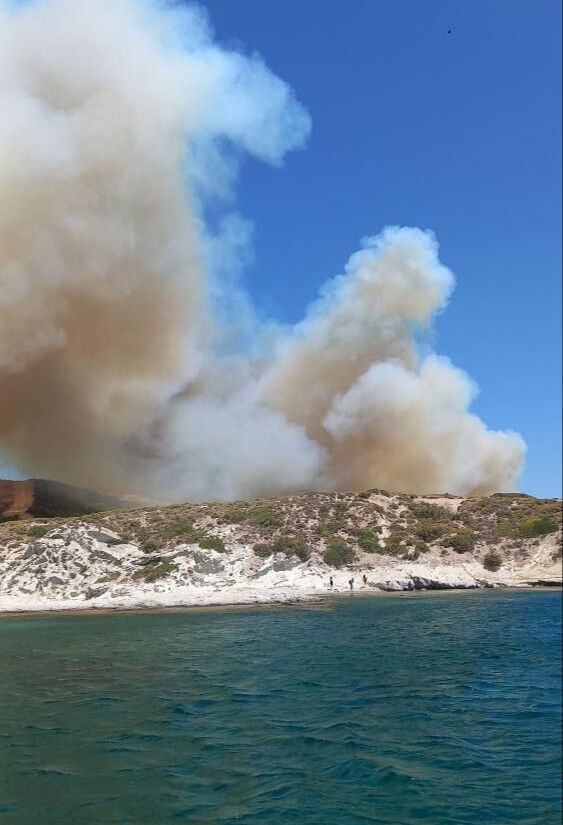 Çeşme Alaçatı'daki orman yangınında acı haber!! 3 can kaybı, 4 gözaltı Çeşme Alaçatı'daki orman yangınından acı haber! 3 kişi hayatını kaybetti - 2. Resim