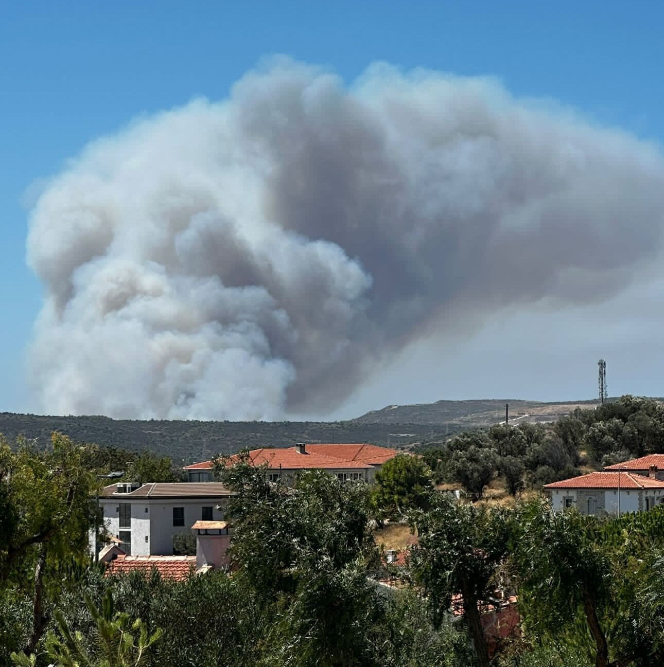 Çeşme Alaçatı'daki orman yangınında acı haber!! 3 can kaybı, 4 gözaltı Çeşme Alaçatı'daki orman yangınından acı haber! 3 kişi hayatını kaybetti - 4. Resim