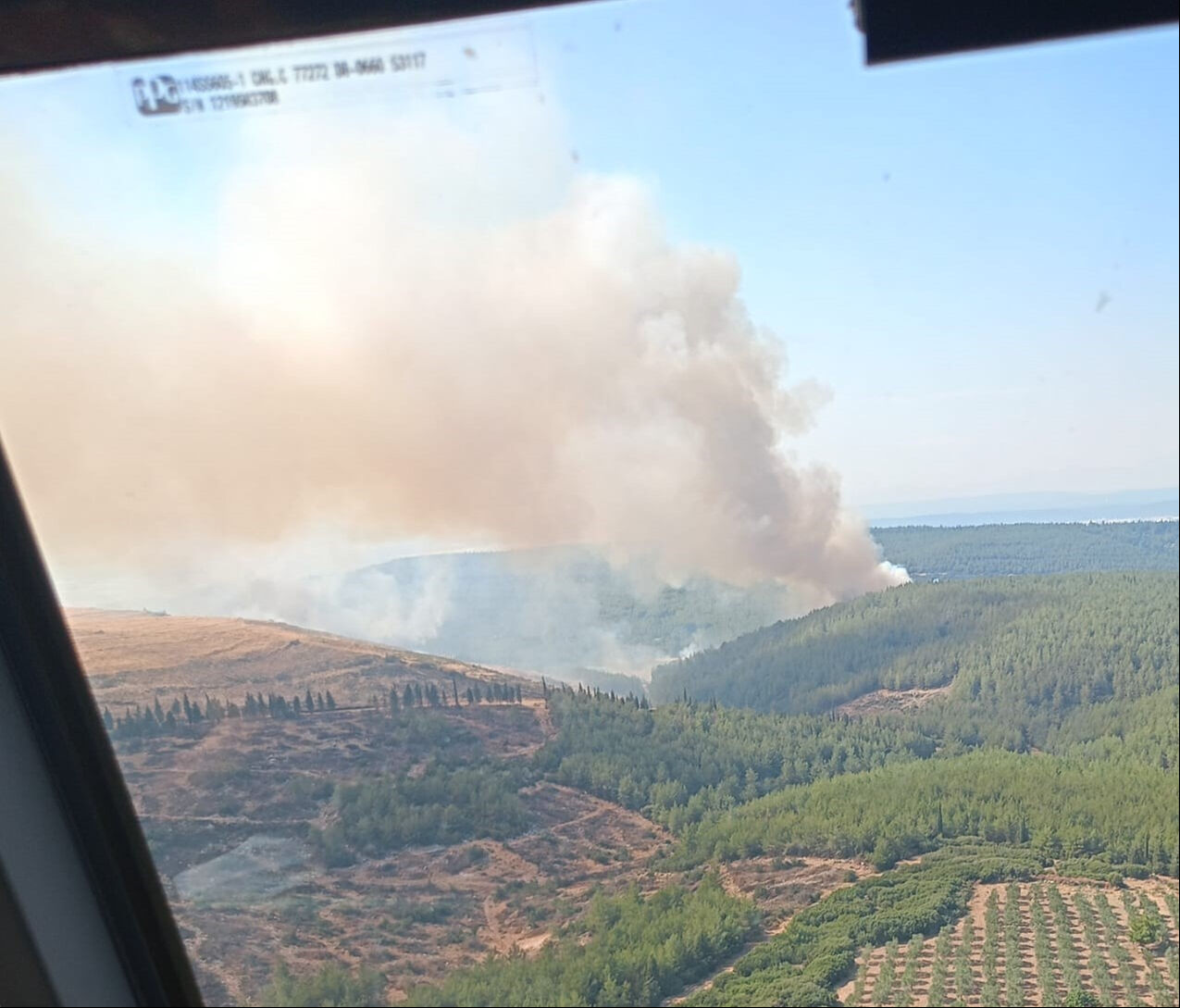 Çeşme Alaçatı'daki orman yangınında acı haber!! 3 can kaybı, 4 gözaltı Çeşme Alaçatı'daki orman yangınından acı haber! 3 kişi hayatını kaybetti - 5. Resim