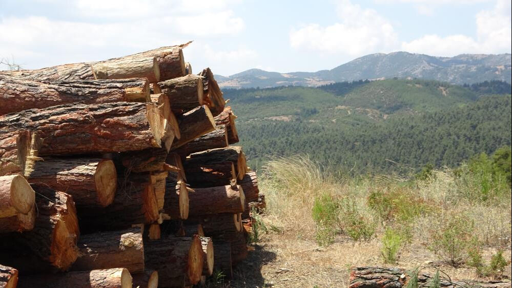 Duyan akın etti, g&ouml;zyaşları sel oldu! Bir tek mezarlık da var... - 4. Resim