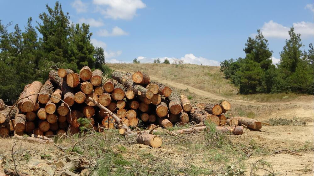 Duyan akın etti, g&ouml;zyaşları sel oldu! Bir tek mezarlık da var... - 3. Resim