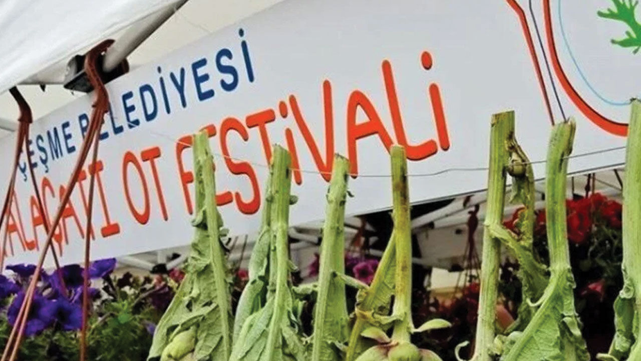 CHP'li Çeşme Belediye Başkanı Lal Denizli'nin kaynakları festivale akıttıktan sonra vatandaştan tanker istemesi gündem oldu CHP'li Çeşme Belediye Başkanı Lal Denizli'nin kaynakları festivale akıttıktan sonra vatandaştan tanker istemesi gündem oldu - 2. Resim