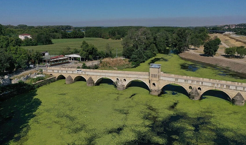 Tunca Nehri’nde kuraklık alarmı: Rengi yeşile büründü - 1. Resim