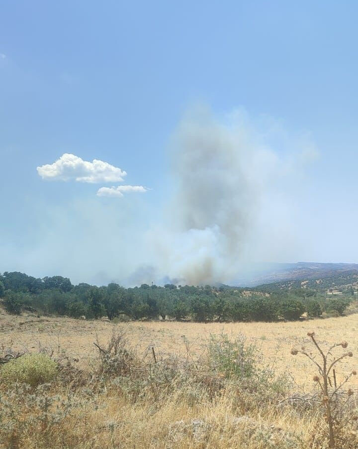 Çanakkale Ayvacık’ta zeytinlik alanda çıkan yangın rüzgarın etkisiyle büyüdü Çanakkale Ayvacık’ta zeytinlik alanda çıkan yangın rüzgarın etkisiyle büyüdü - 1. Resim