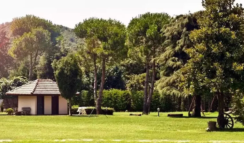 Beykoz’da köy hayatı yaşamaya başlamıştı! İlker Ayrık ticarete atıldı - 1. Resim