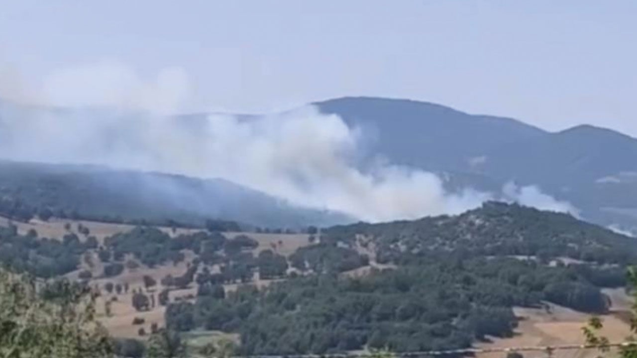 İzmir Gaziemir-Buca-Foça, Bursa Orhaneli, Manisa Tarsus-Turgutlu ve Balıkesir'de çıkan orman yangınlarında alevler gökyüzüne ulaştı İzmir Gaziemir-Buca, Bursa Orhaneli ve Manisa Tarsus'taki çıkan orman yangınlarında alevler gökyüzüne ulaştı - 8. Resim