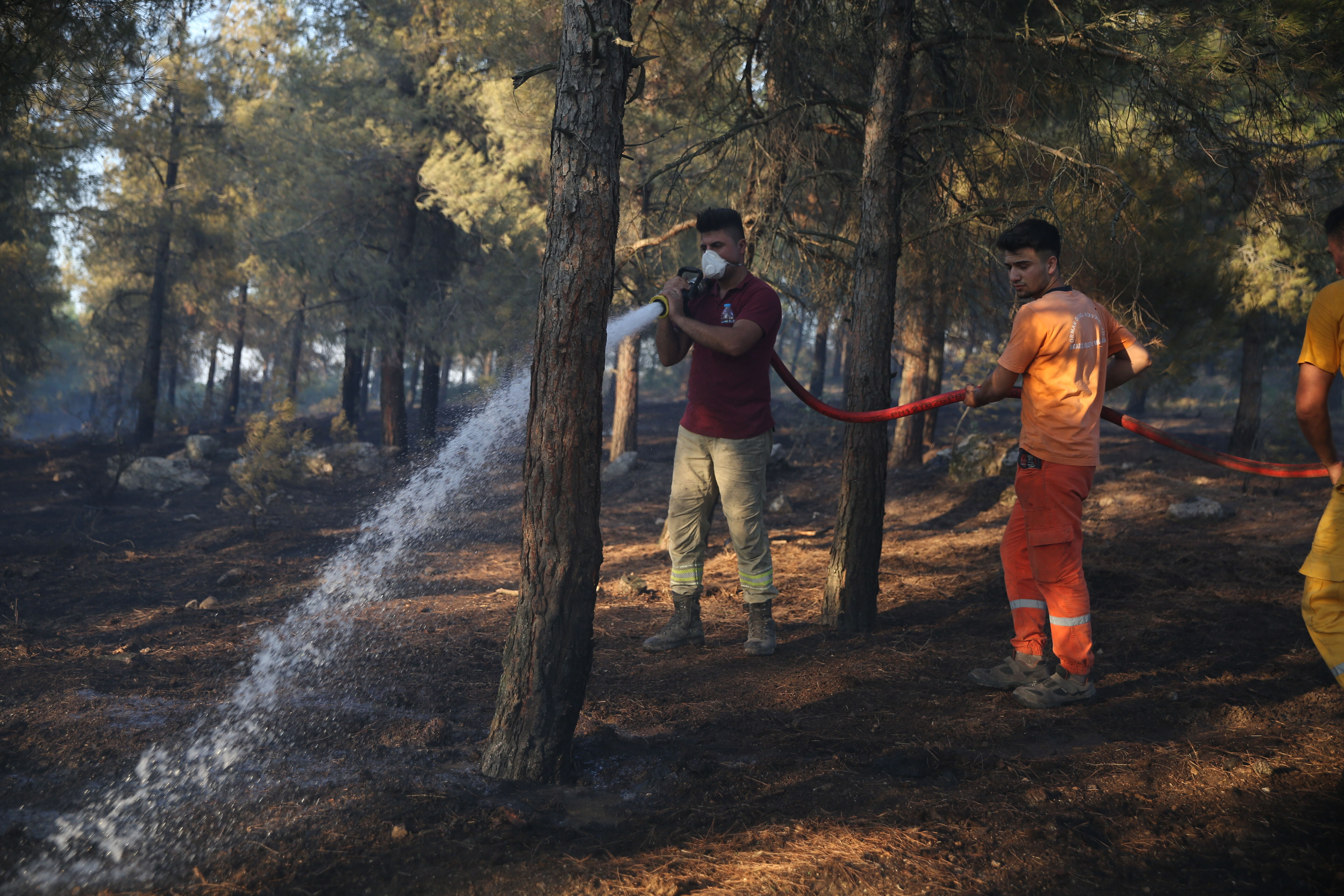 İzmir Gaziemir-Buca-Foça, Bursa Orhaneli, Manisa Tarsus-Turgutlu ve Balıkesir'de çıkan orman yangınlarında alevler gökyüzüne ulaştı İzmir Gaziemir-Buca-Foça, Bursa Orhaneli, Manisa Tarsus-Turgutlu ve Balıkesir'de çıkan orman yangınlarında alevler gökyüzüne ulaştı - 5. Resim