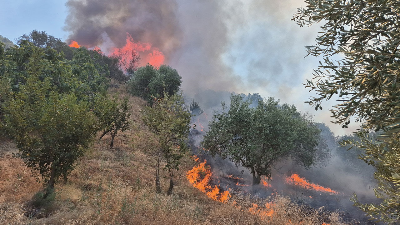 İzmir Gaziemir-Buca-Foça, Bursa Orhaneli, Manisa Tarsus-Turgutlu ve Balıkesir'de çıkan orman yangınlarında alevler gökyüzüne ulaştı İzmir Gaziemir'de çıkan orman yangınında alevler gökyüzüne ulaştı - 5. Resim