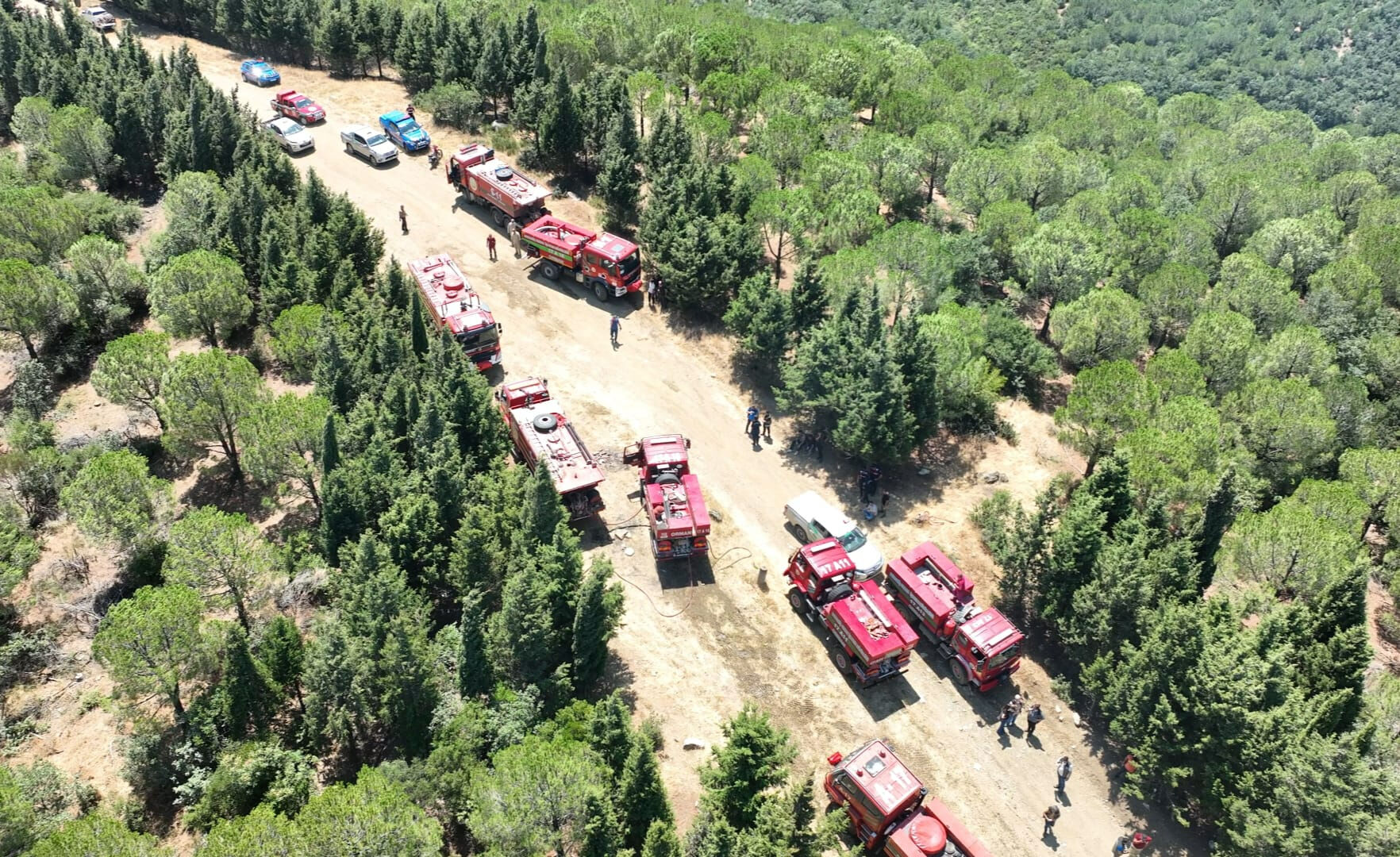 &Ccedil;anakkale Bayrami&ccedil; il&ccedil;esinde &ccedil;ıkan orman yangını s&ouml;nd&uuml;rme &ccedil;alışmaları devam ediyor - 1. Resim