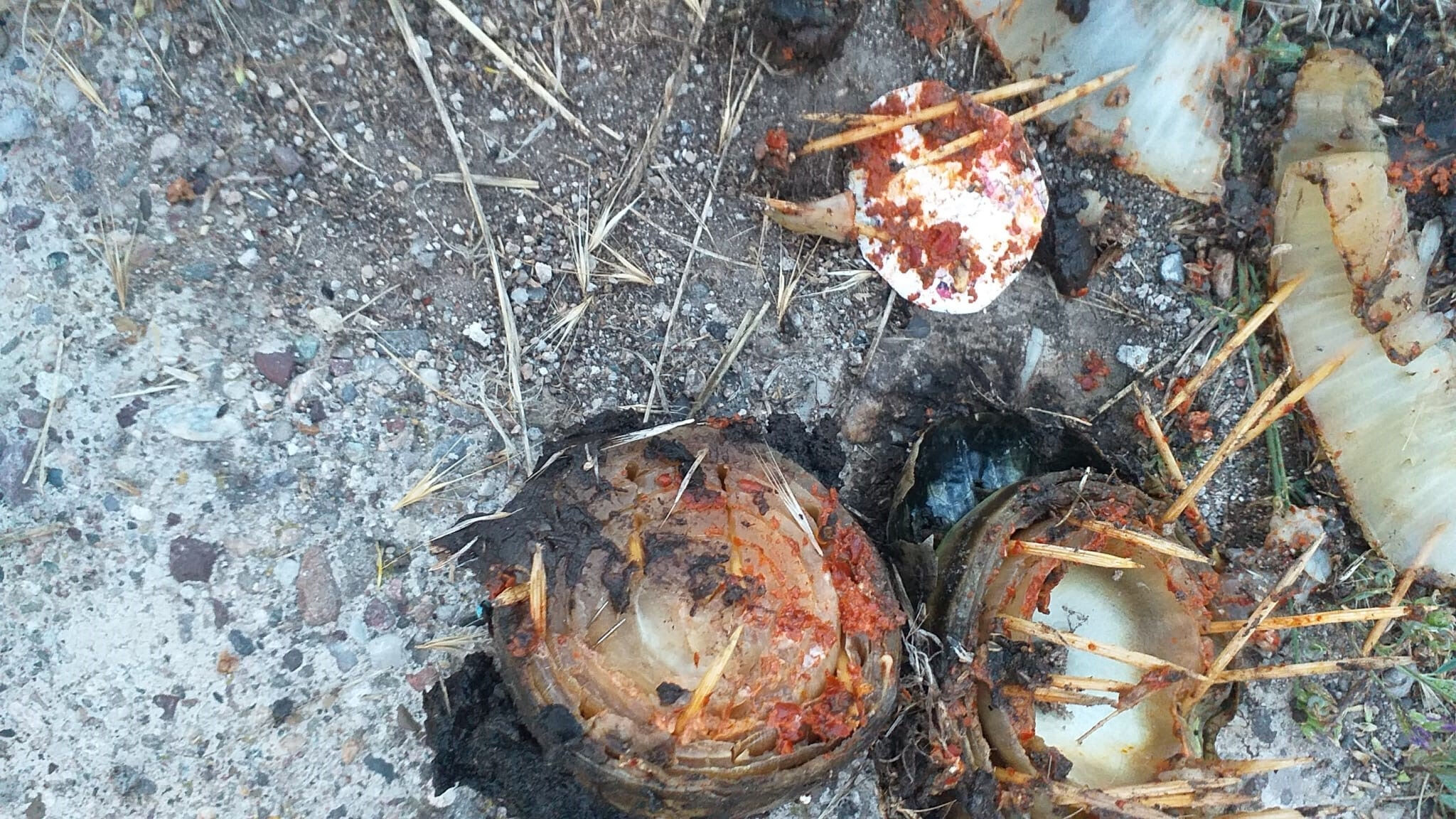 Kavga ihbarına gittiler, gördükleri manzara karşısında şoke oldular! Ürgüp'te akılalmaz olay Kavga ihbarına gittiler, gördükleri manzara karşısında şoke oldular! Ürgüp'te akılalmaz olay - 2. Resim