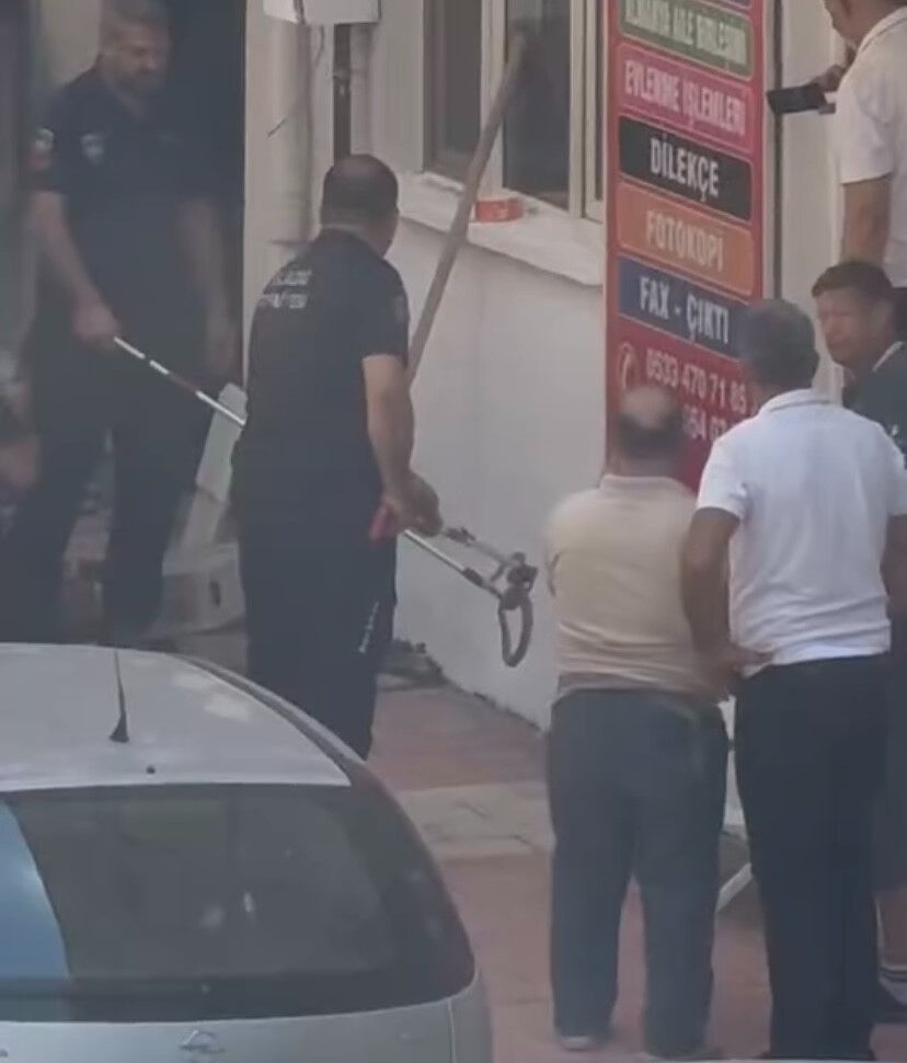 Kaldırımda duran yılan paniğe neden oldu! Bu kadarı da oldu! Kaldırımda duran yılan şoke etti - 3. Resim
