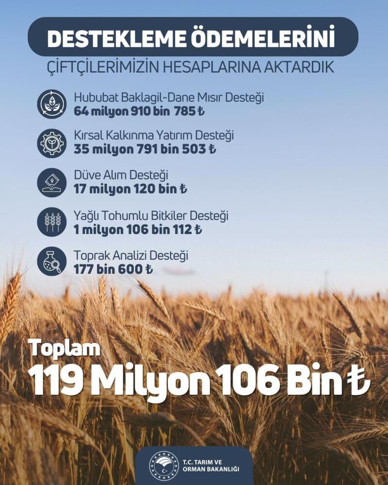 Çiftçilerin beklediği haber! 119 milyon liralık ödeme hesaplarda Çiftçilerin beklediği haber! 119 milyon liralık ödeme hesaplarda - 1. Resim