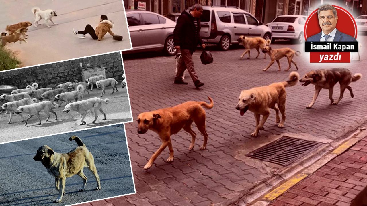 Kuru gürültüye pabuç bırakacak mısınız?