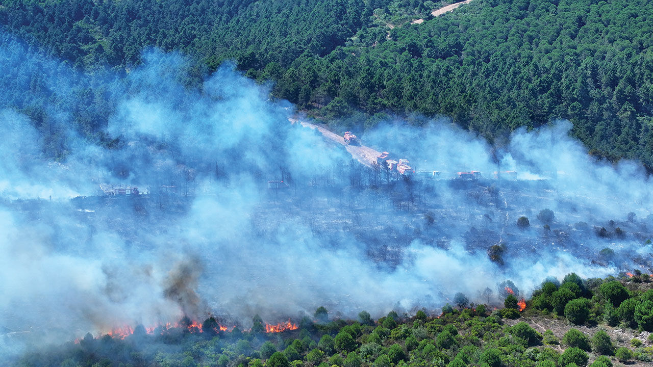 İstanbul Pendik'teki Aydos Ormanı'nda yangın çıktı! Alevler korkutucu derecede ilerliyor - 1. Resim