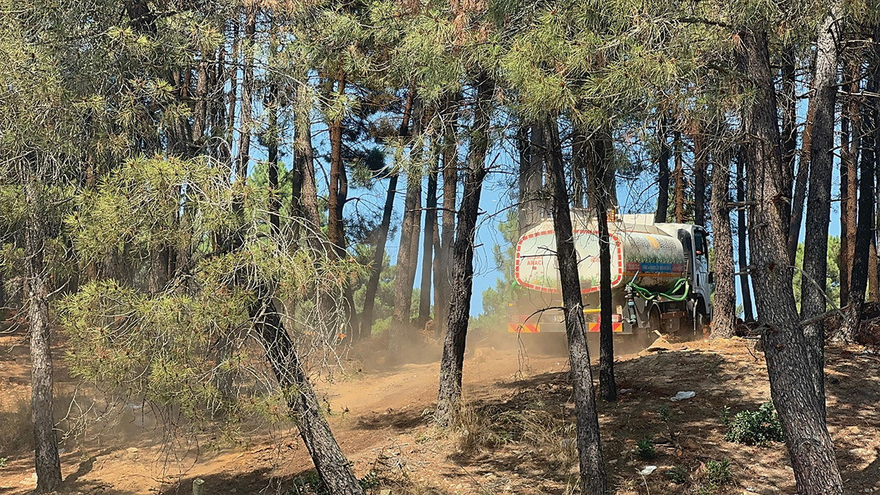 İstanbul Pendik'teki Aydos Ormanı'nda yangın çıktı! Alevler korkutucu derecede ilerliyor - 3. Resim