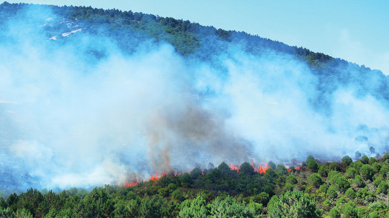 İstanbul Pendik'teki Aydos Ormanı'nda yangın çıktı! Alevler korkutucu derecede ilerliyor - 4. Resim