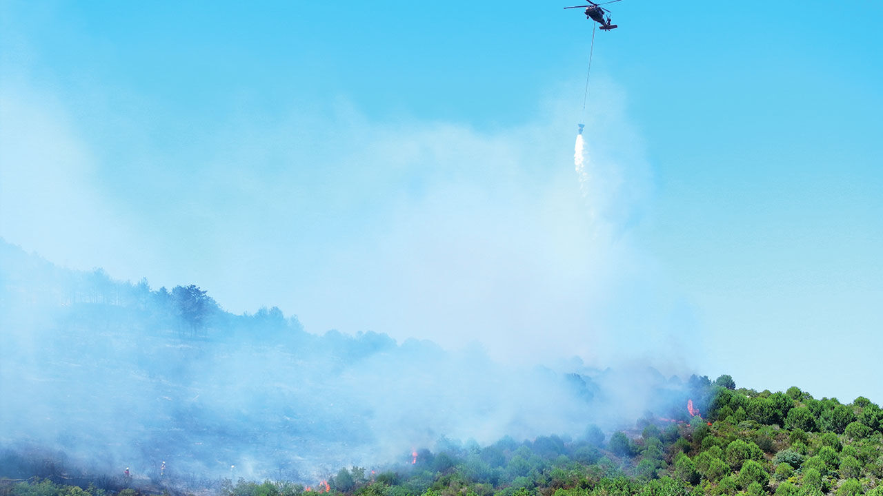 İstanbul Pendik'teki Aydos Ormanı'nda yangın çıktı! Alevler korkutucu derecede ilerliyor - 5. Resim