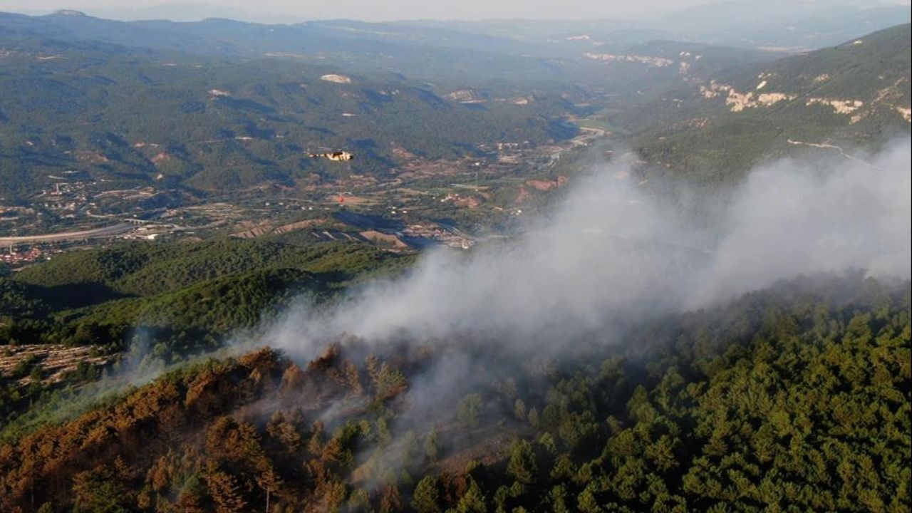 Kastamonu ve Karabük&#039;te orman yangını! Hızla yayılan alevler kontrol altında